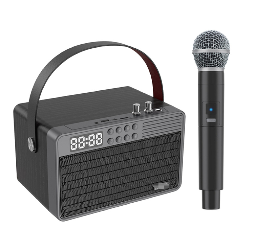 Wspiera Bluetooth AUX TF Card U Disk Radio FM Mikrofon bezprzewodowy drewniany ABS Żelazna sieć 2400mAh bateria