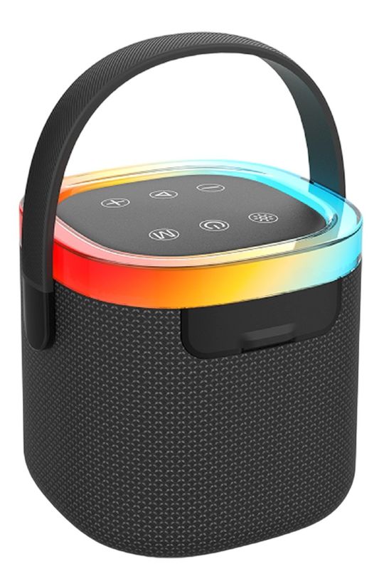 66mm 10W wodoodporny głośnik z rękojeścią przenośną IPX5 1800mAh bateria AUX/TF/USB/FM 4-tryb odtwarzania / połączenia